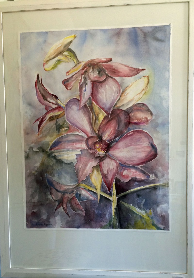 Blomma