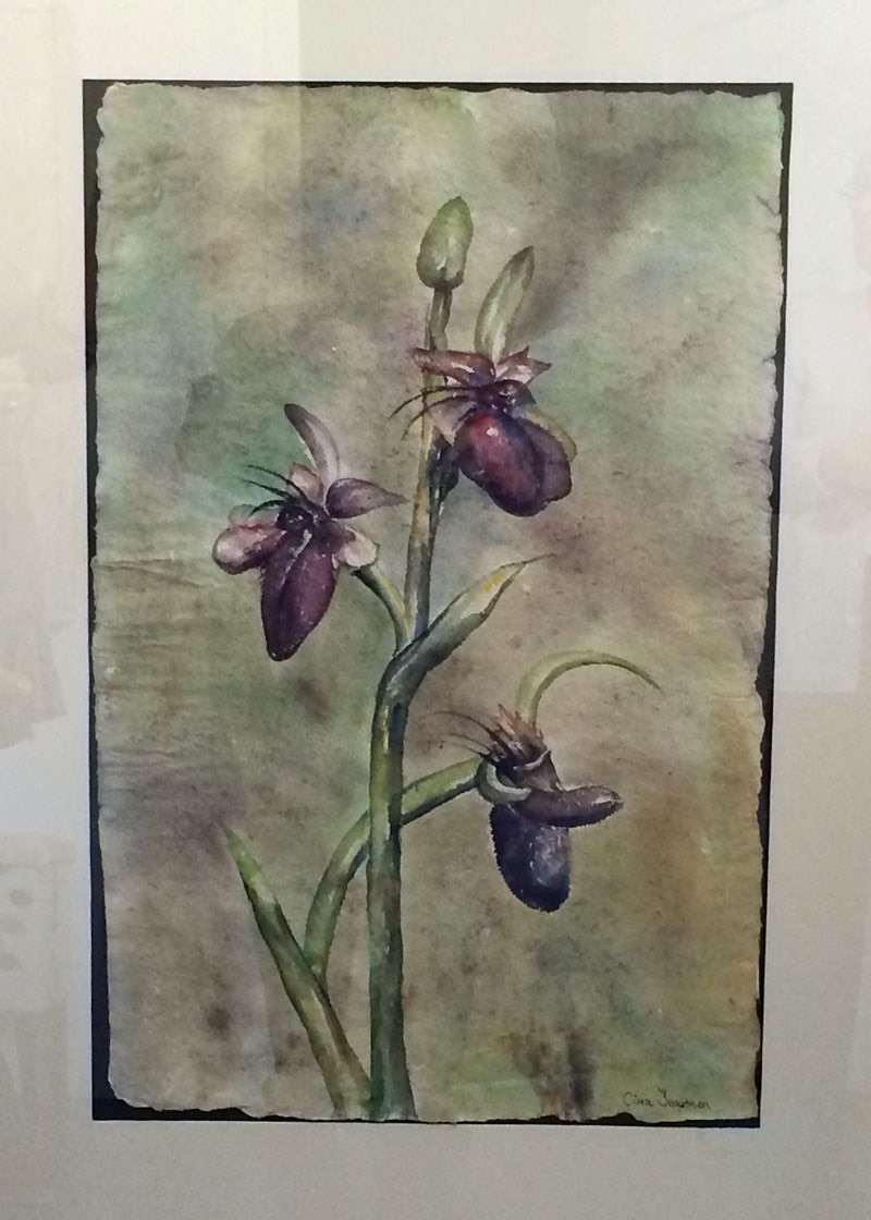Blomster