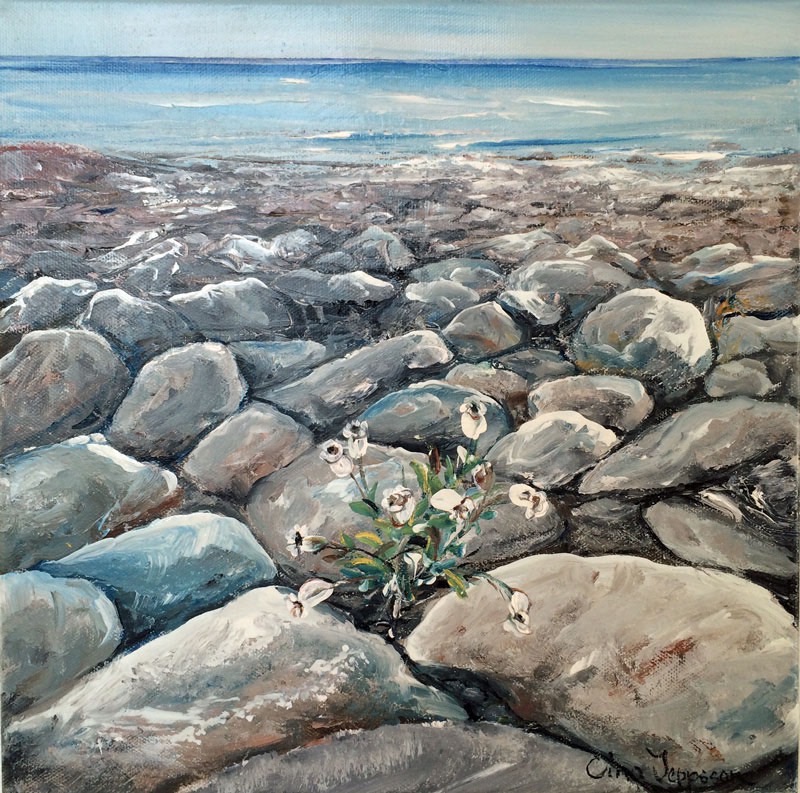 Stenstrand