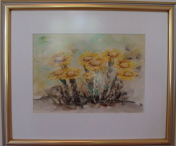 Tussilago