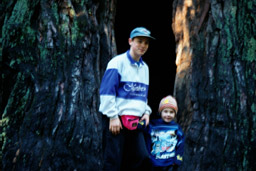 Isak & Adam framför världens största träd - "The Mother" - ett Redwood-träd. 3/11 -00.