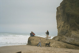 Pascadero Beach. 4/11 -00.