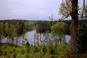 Framåt kvällen åkte vi ut till Marita på Hultabo och tog en promenad i skogen. Här en vy av Kråkåssjön. 2000-05-03 Foto: Ivan Valfridsson