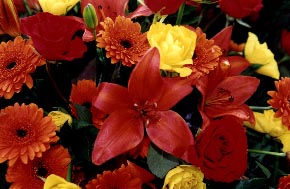 En vacker detaljbild av familjens blomsterkrans får bli slutvinjetten vid gravsättningen. Tack Susanne och på återseende! 2000-05-03 Foto: Toje Stenbaek
