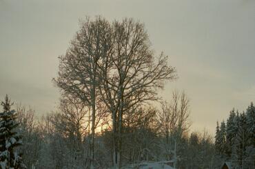 Solnedgång!