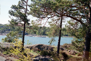 Utsikt från Strandvägen, Nynäshamn, 20/5 -02