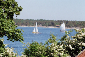 Möjadagen med TKS, 8/6 -02