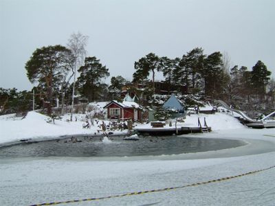 Vy vid Soludden, öppet vatten med massor av sjöfåglar, 14/2 -04
