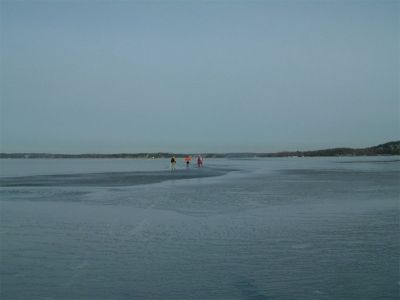 Erstaviken med öppna råkar, 19/2 -04