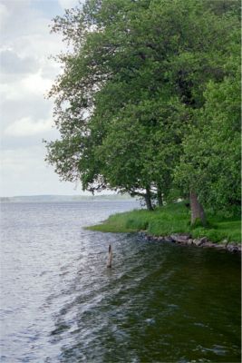 Vy från Taxinge Slott, 9/6 -03