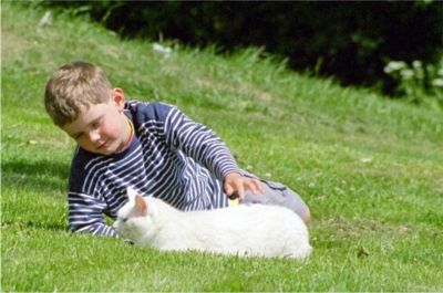 Felix och katten på Hultabo, 21/6 -03