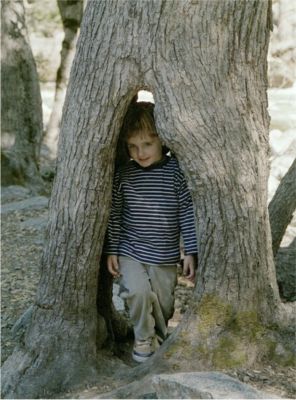 Här kan Max bo, Yosemite Park, 29/3 -03