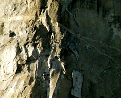 Här kan man se några, Yosemite Park, 29/3 -03