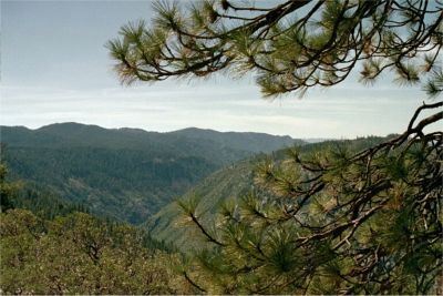 Grouse Creek, 30/3 -03