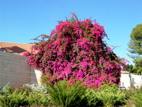 Vi åt en mycket god lunch på en kibbutz vid Beit Guvrin. 9/11 -05