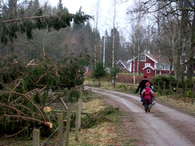 ... vägen mot Dans ...