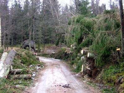 ... vägen från Ödesbacka mot kvarnen ...