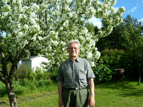 Paradisäppelträdet blomstrar för fullt, 3/6 -06