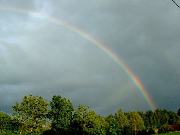 Detta får bli symbolen för årets regniga sommar i Småland; 4/7 -07