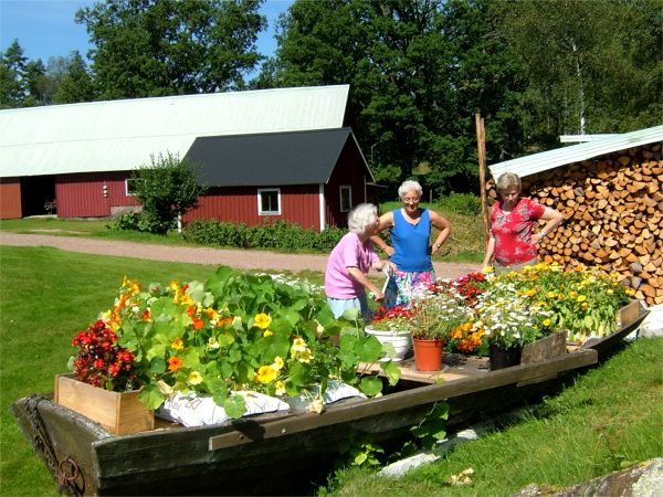 Damerna beundrar Birgittas blomstereka; 7/8 -07