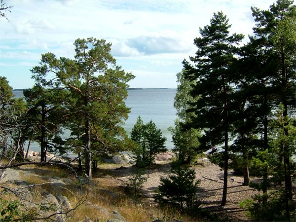 En solig lördag - längst ut på Ingarö: 25/8 -07