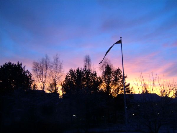 Vacker solnedgång i vår trädgård; 19/12 -07