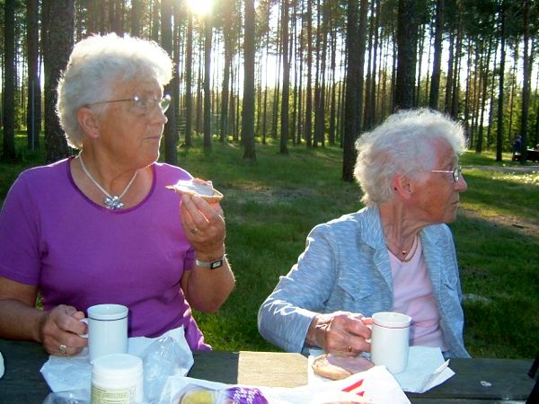 Tallskogen på hemväg; 11/6 -07