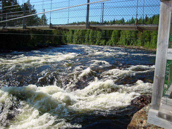 Vindelälven bildar många mäktiga ...