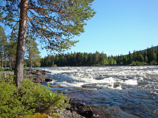 ... forsar - här Vormforsen.