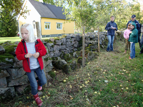 Slutligen visade man hällkistan vid Danhäll - en intressant fornlämning ...