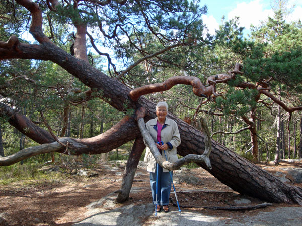 Elsie i Tyresta Nationalpark; 7/9 -10