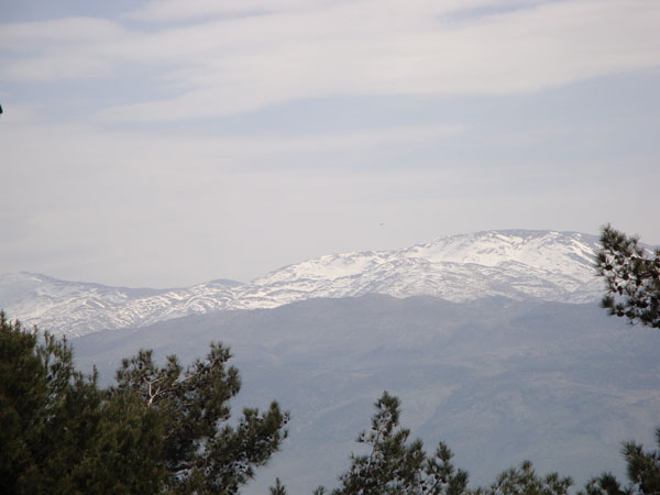 Hermonberget på avstånd.