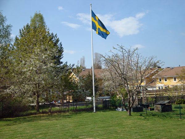 Det firade vi hemma med röda rosor, kaffe och tårta och vi hade flaggan i topp både ute och inne.