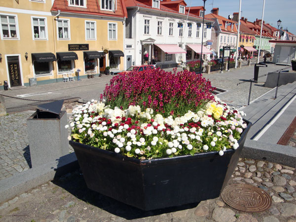 Vackra blommor på torget i Gränna.