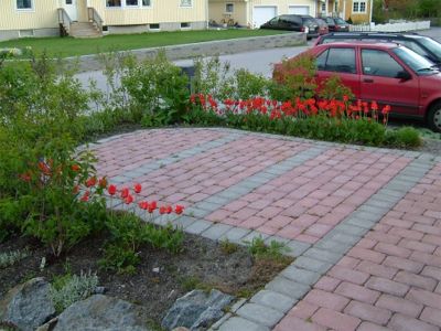 Bild från Åsas trädgård, 11/5 -04