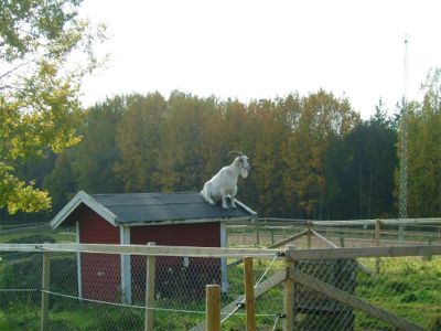 Titta! Vad Berit och jag såg utefter Sörmlandsleden, del 4, 7/10 -04