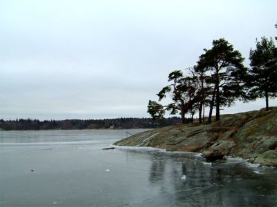 Utsikt över Drevviken, 12/2 -05