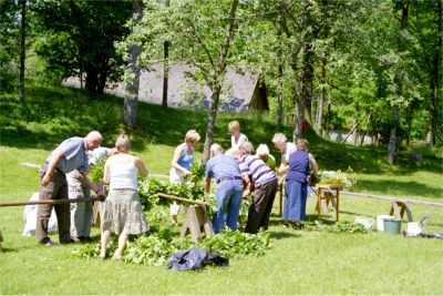 Hembygdsparken i Broaryd, 24/6 -05