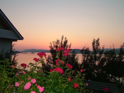 Trädgårdsbild i solnedgången, 9/8 -04