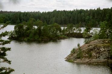 Runt om i Tyresta finns det många vackra vyer.
