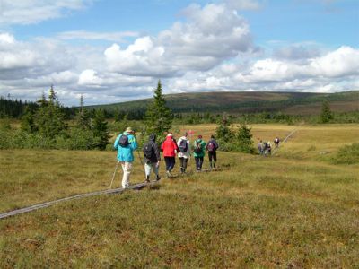 Vackert väder och här var det spångad stig, 25/8 -04