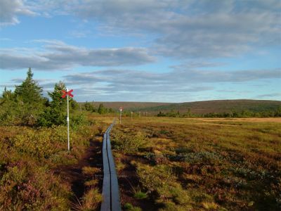 "Morgonstund har guld i mun" - det var en mycket skön upplevelse, tyst och vackert att vandra ensam på fjället tidigt på morgonen medan alla andra låg och sov, 29/8 -04