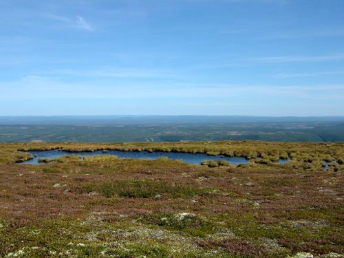 Det fanns gott om små vattensamlingar på fjället, 31/8 -05
