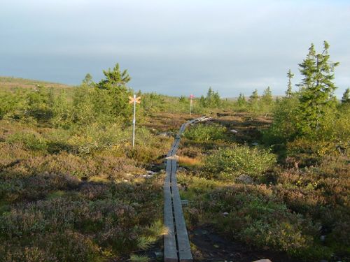 Skön promenad strax efter soluppgången, 1/9 -05