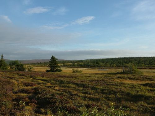 Stilla och tyst - vackra vyer, 1/9 -05