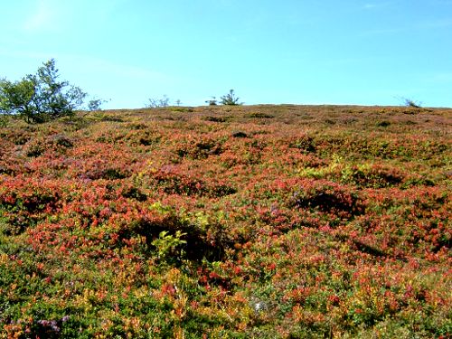 Stilla och tyst - vackra vyer, 1/9 -05