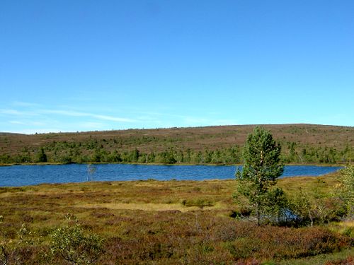 ... flera hoppade i och badade i det kalla och friska vattnet, 1/9 -05