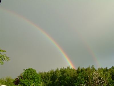 Det har varit en mycket regnig sommar hittills men ...