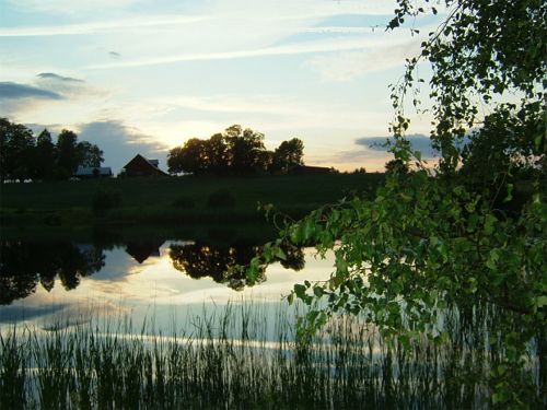 Övriga bilder