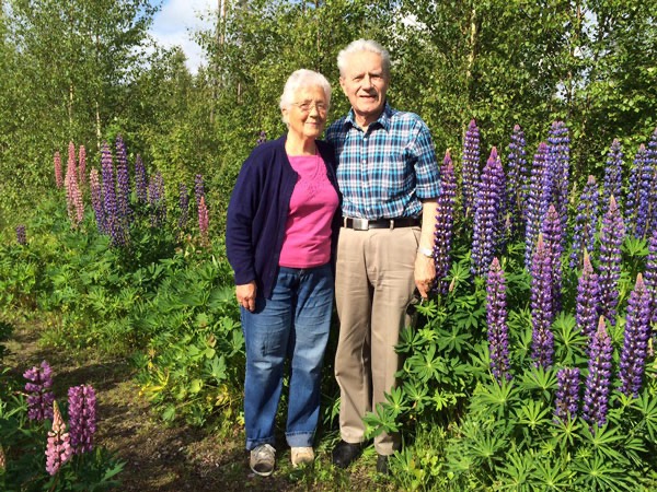 29/6 -15. Herrskapet på promenad på Ödesbacka bland vackra lupiner ...